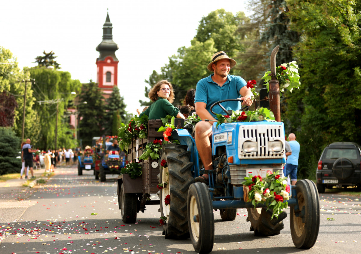 Szeged, Szőregi rózsaünnep, rózsa, felvonulás, virág, turizmus