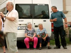 Szeged, Szőregi rózsaünnep, rózsa, felvonulás, virág, turizmus