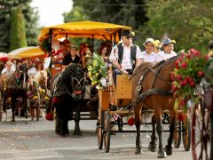 Szeged, Szőregi rózsaünnep, rózsa, felvonulás, virág, turizmus