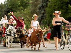 Szeged, Szőregi rózsaünnep, rózsa, felvonulás, virág, turizmus