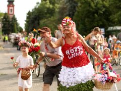 Szeged, Szőregi rózsaünnep, rózsa, felvonulás, virág, turizmus