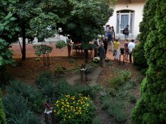 Szeged, Találkozások, kiállítás, Wagner Udvar, kultura, művészet, szobor