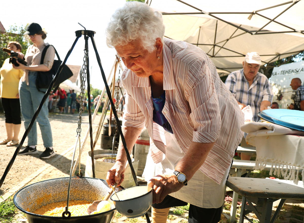 Szeged, Tápéi Tarhonyafesztivál, tarhonya, főzés, bogrács, hagyomány