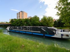 Bahart kompok a Balatonon