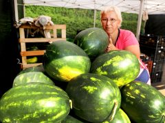 Szeged, görögdinnye, dinnye, Mars tér, piac, szezon, nyár, gyümölcs