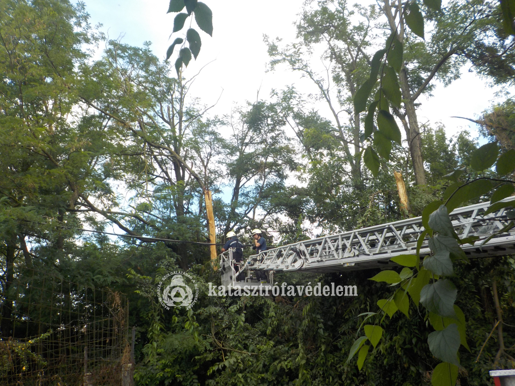 Villanyvezetékre szakadt egy fa Debrecenben