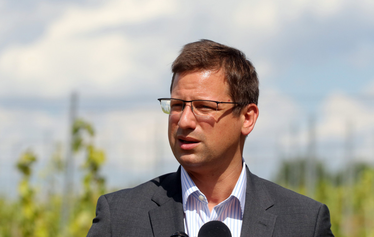 Gulyás Gergely Tarcal dűlőút