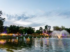 Debreceni bor- és jazznapok