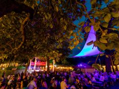 Debreceni bor- és jazznapok