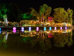 Debreceni bor- és jazznapok