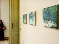 Szeged, aatoth franyo, festőművész, kiállítás, Reök palota, kultura, művészet