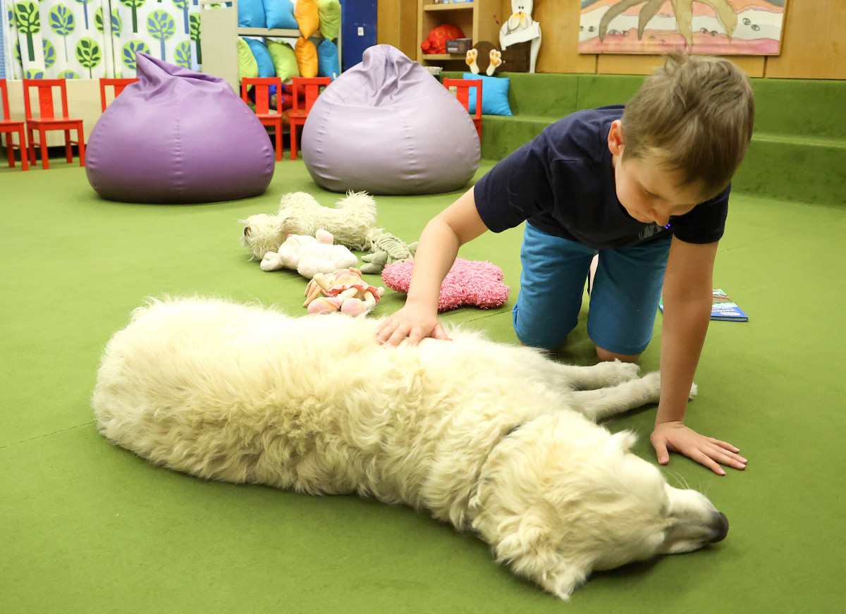 Szeged, gyerek, Zéti, kutya Somogyi könyvtár, gyermekkönyvtár, olvasás, könyv