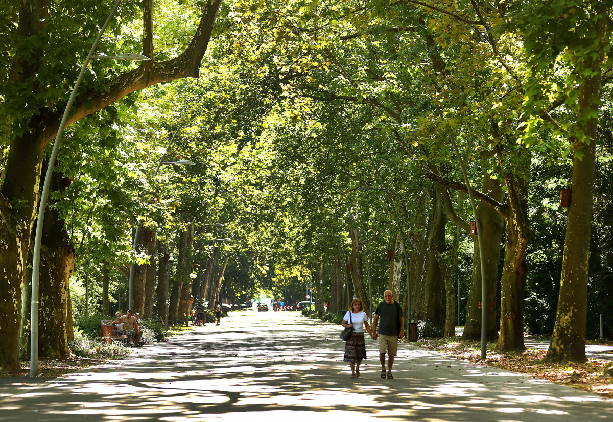 Szeged, nyár, séta, időjárás, természet, egészség, újszegedi liget, park, fák