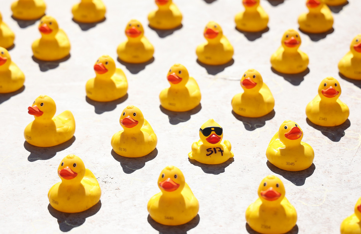 Szeged, Rotary, jótékonysági gumikacsa verseny, gumikacsa, Tisza