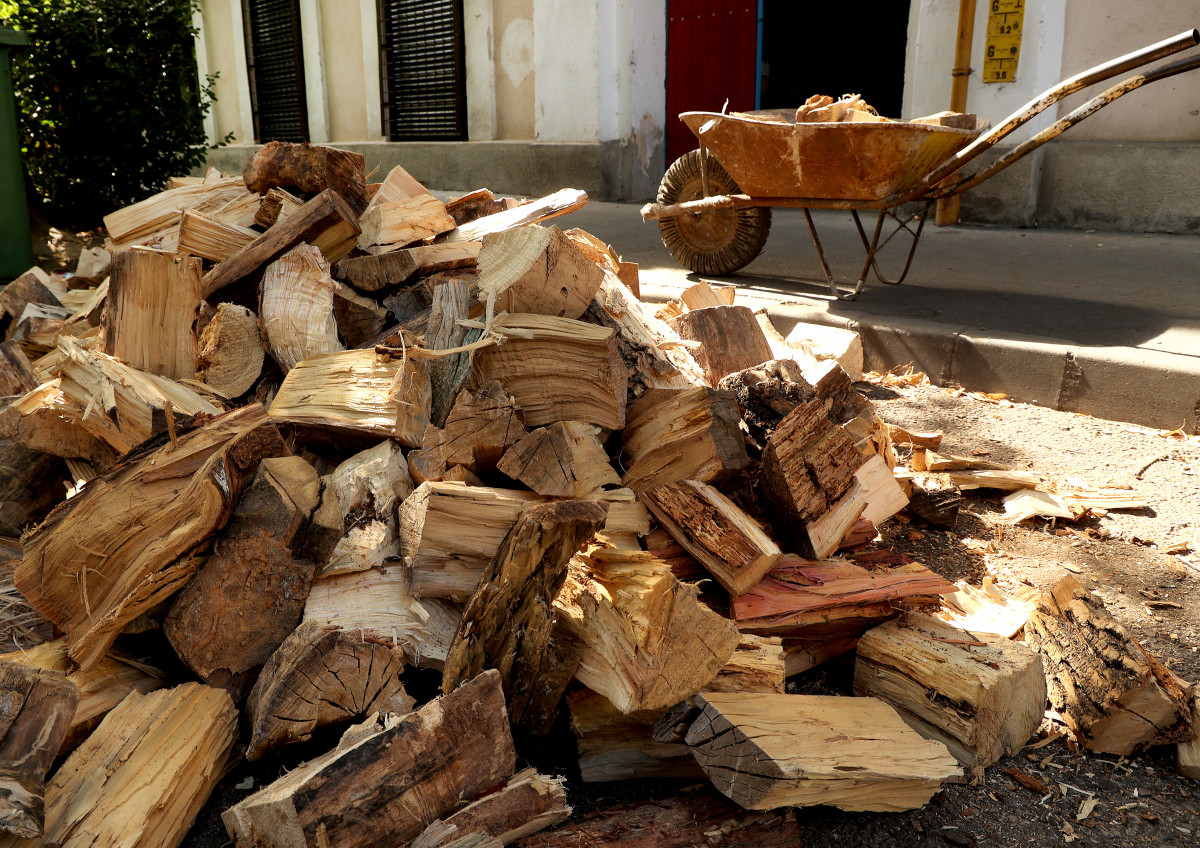 Szeged, tűzifa, fa, tüzelő, fűtés, segély