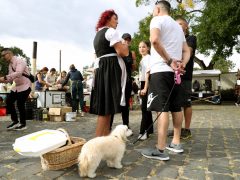 Szeged, V. Szent Ferenc jótékonysági főzés, főzés, adomány, jótékonyság, Mátyás tér