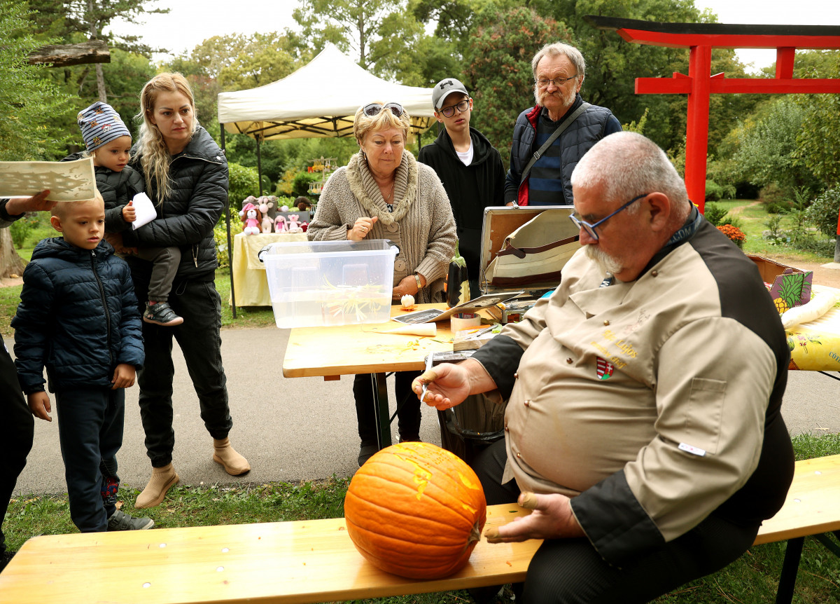 Szeged, Tök Jó Nap, Füvészkert, tök, tökfaragás, sütőtök, természet, turizmus