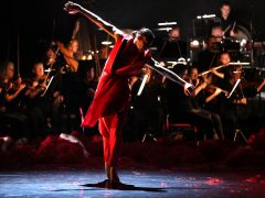 Szeged, Szegedi Kortárs Balett, Lánglelkű, A farkasok dala, balett, tánc, kultura