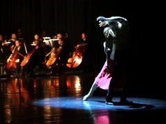 Szeged, Szegedi Kortárs Balett, Lánglelkű, Pacsirta, balett, tánc, kultura