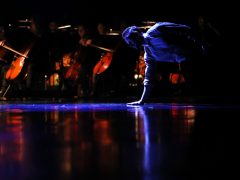 Szeged, Szegedi Kortárs Balett, Lánglelkű, Pacsirta, balett, tánc, kultura