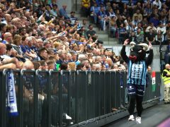 Szeged, OTP Bank Pick Szeged, Telekom Veszprém, Pick Aréna, sport, kézilabda, mérkőzés