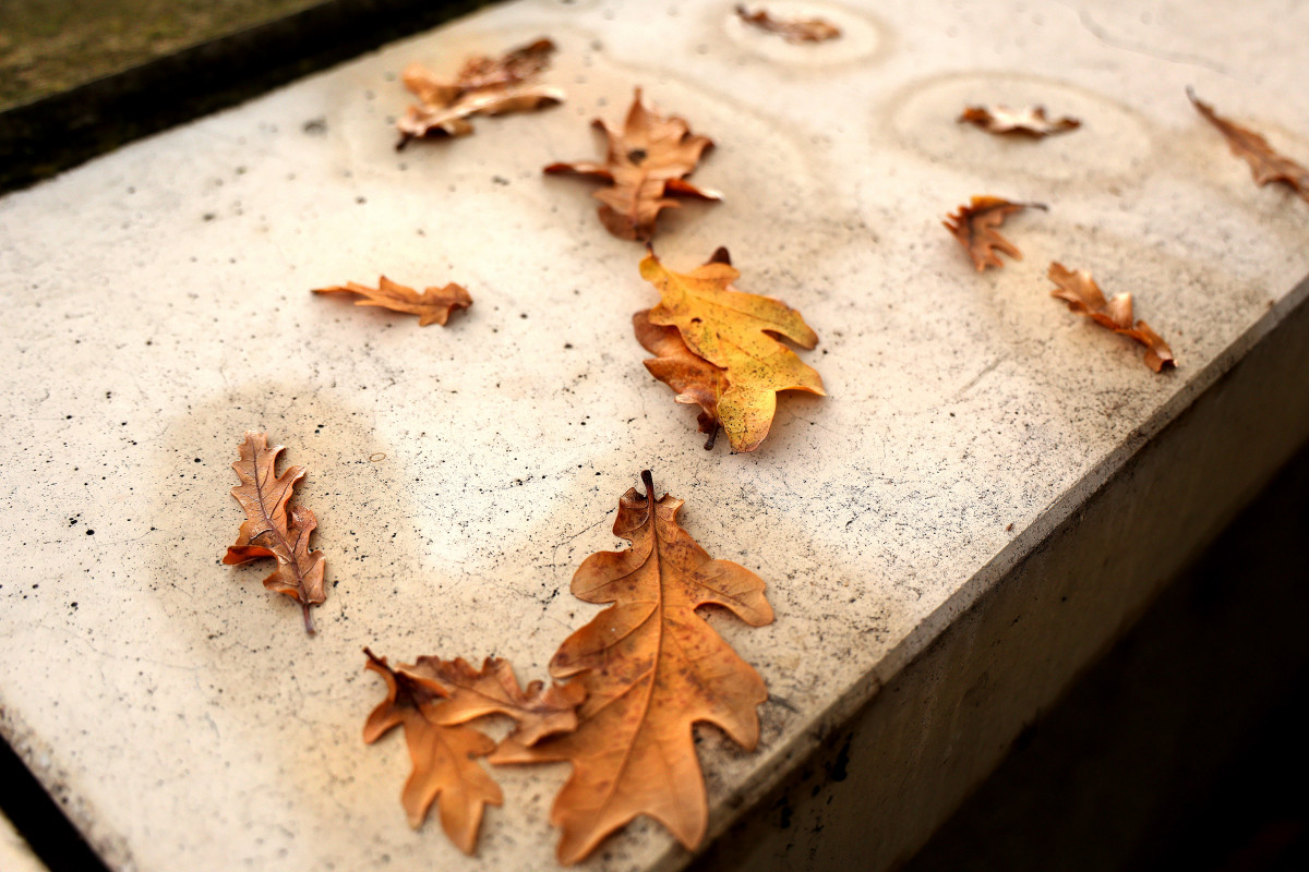 Szeged, borongós, eső, időjárás, november, ősz