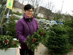 Szeged, fenyővásár, fenyő, Mars téri piac, karácsony