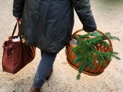 Szeged, fenyővásár, fenyő, Mars téri piac, karácsony