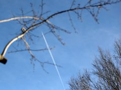 Szeged, séta, újszeged, Holt-Maros, Tisza part, január, tél, időjárás, kirándulás, természet