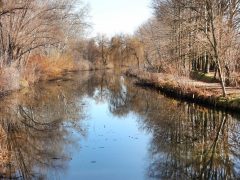 Szeged, séta, újszeged, Holt-Maros, Tisza part, január, tél, időjárás, kirándulás, természet