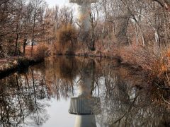 Szeged, séta, újszeged, Holt-Maros, Tisza part, január, tél, időjárás, kirándulás, természet