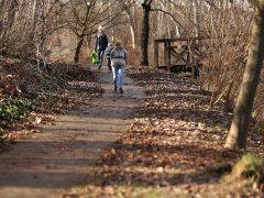 Szeged, séta, újszeged, Holt-Maros, Tisza part, január, tél, időjárás, kirándulás, természet