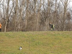 Szeged, séta, újszeged, Holt-Maros, Tisza part, január, tél, időjárás, kirándulás, természet