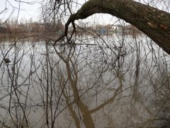 Szeged, séta, újszeged, Holt-Maros, Tisza part, január, tél, időjárás, kirándulás, természet