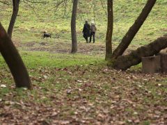 Szeged, séta, újszeged, Holt-Maros, Tisza part, január, tél, időjárás, kirándulás, természet