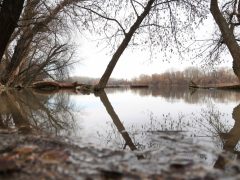 Szeged, séta, újszeged, Holt-Maros, Tisza part, január, tél, időjárás, kirándulás, természet