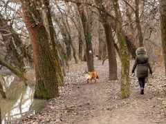 Szeged, séta, újszeged, Holt-Maros, Tisza part, január, tél, időjárás, kirándulás, természet