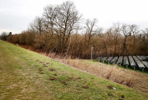 Szeged, Szent Gellért Fórum, stadion, véderdő, fejlesztés, fakivágás, fa, erdő