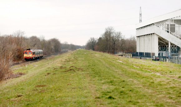 Szeged, Szent Gellért Fórum, stadion, véderdő, fejlesztés, fakivágás, fa, erdő