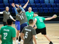 Szeged, VI. Mézi kupa, Mézes Sándor, kézilabda, emléktorna, Pick Aréna