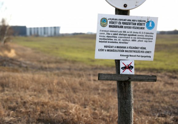 Szeged, fecskefészkelőhely, fészkelőhely, természetvédelmi tábla, természetvédelmi terület, természet