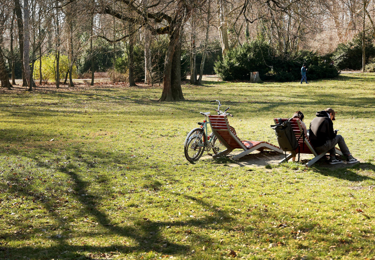 Szeged, február, tél, napsütés, időjárás, újszeged, Erzsébet liget, liget, természet, park