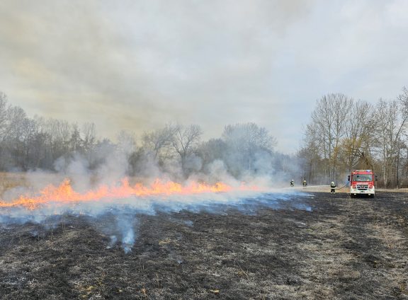 Tűz volt a Vekeri-tónál