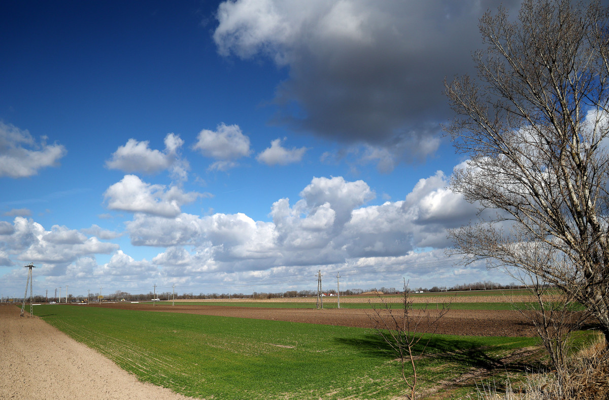 Röszke, szántóföld, föld, természet, időjárás, felhő