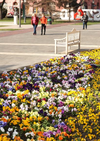 Szeged, tavasz, időjárás, február, séta, napsütés