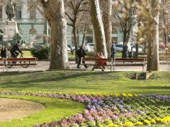 Szeged, tavasz, időjárás, február, séta, napsütés, Széchenyi tér