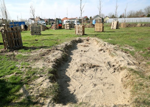 Szeged, önkormányzat, közpark, Szentmihály, Binszki József