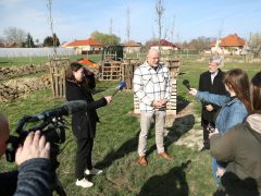 Szeged, önkormányzat, közpark, Szentmihály, Binszki József