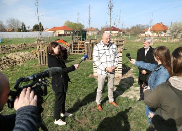 Szeged, önkormányzat, közpark, Szentmihály, Binszki József