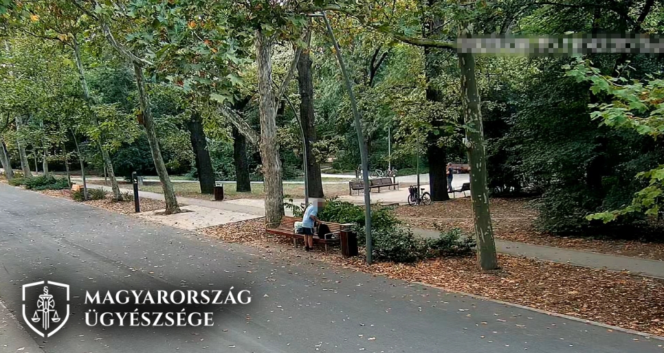 Tolvaj járt a szegedi Ligetben. Fotó: Csongrád-Csanád Vármegyei Főügyészség